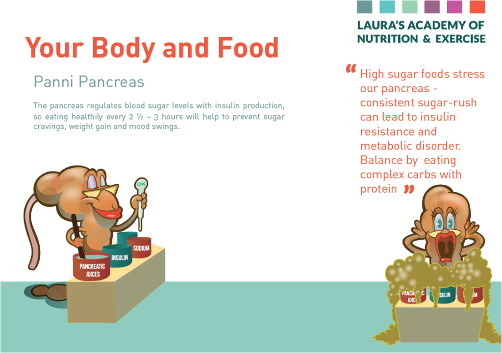 Panni Pancreas by Laura Church